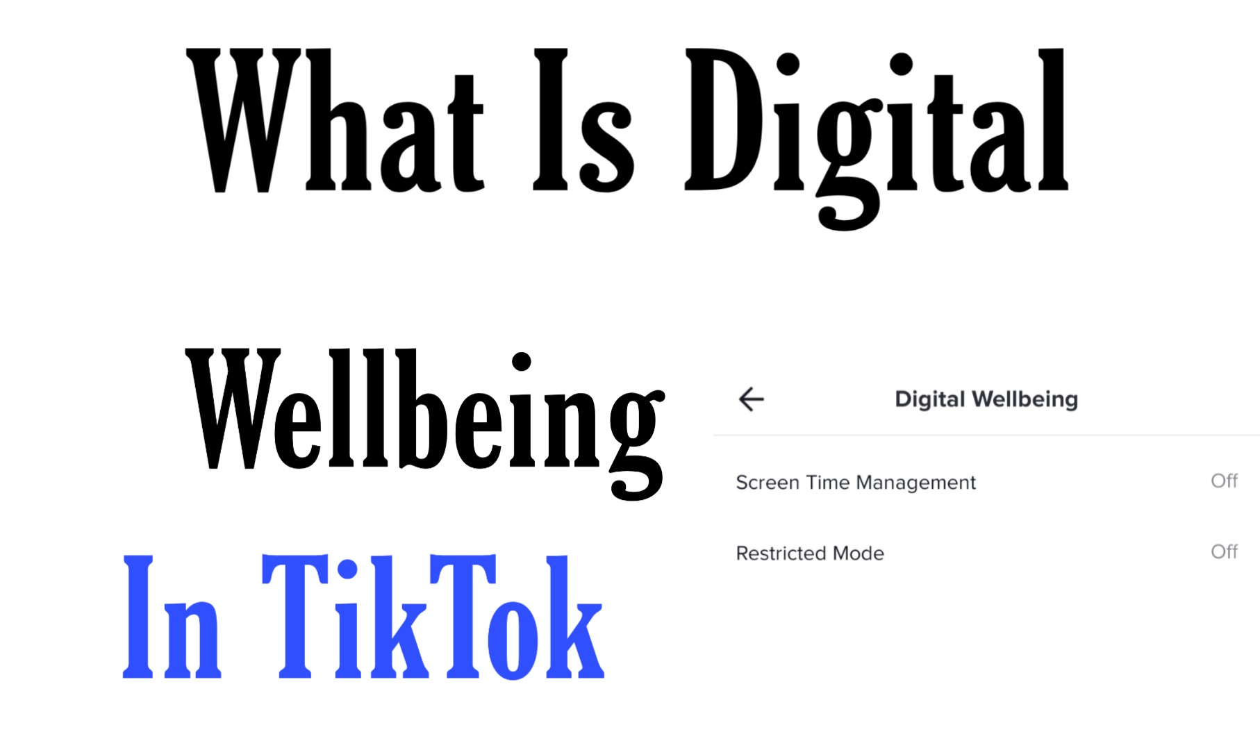 What Is Digital Wellbeing In TikTok - How To Use - Tech Takneek